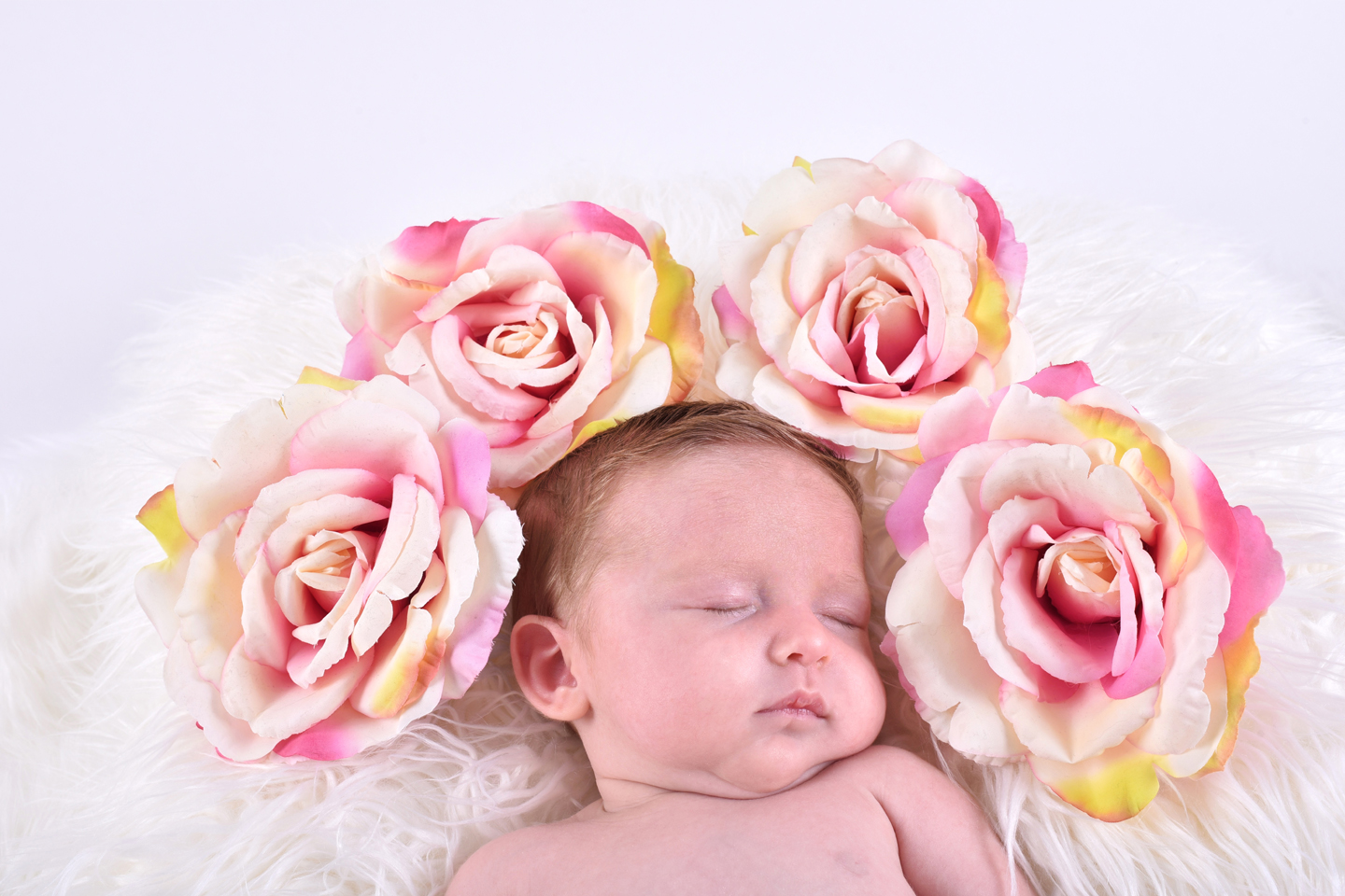 Family Photography, Family Photographer, Kids portrait, Newborn Photography